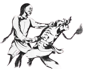 Wing Tsun Meister
